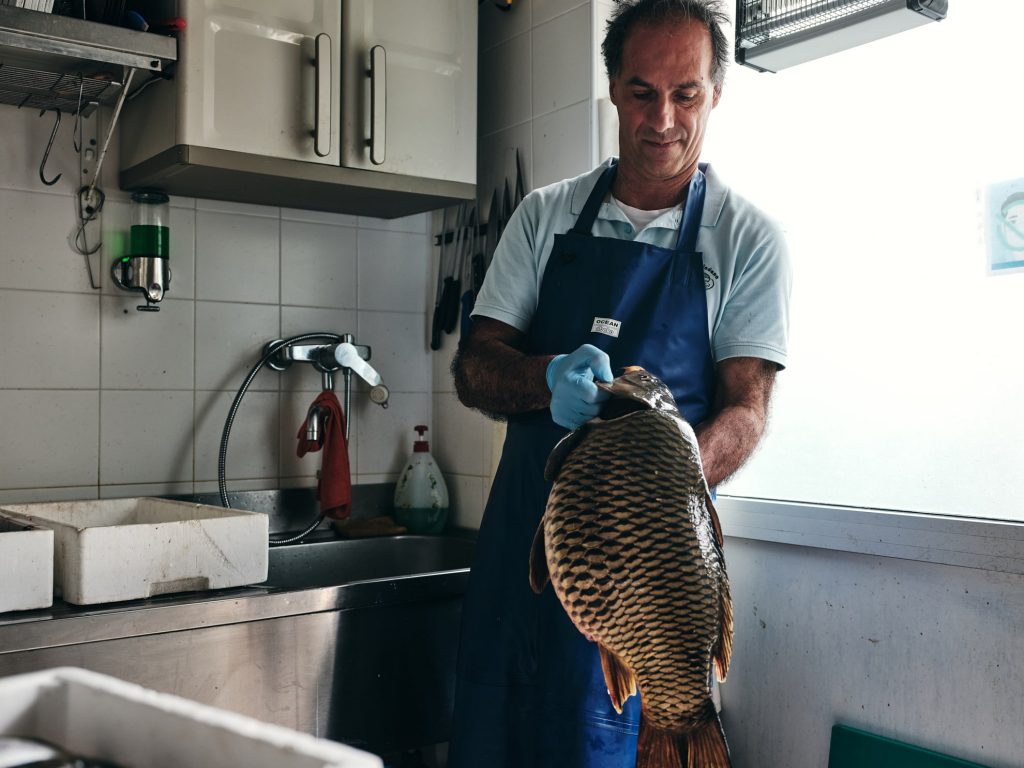 Alberto Rania el pescador laboratorio pesce di lago a riva del Garda foto Il Companatico carpa di lago
